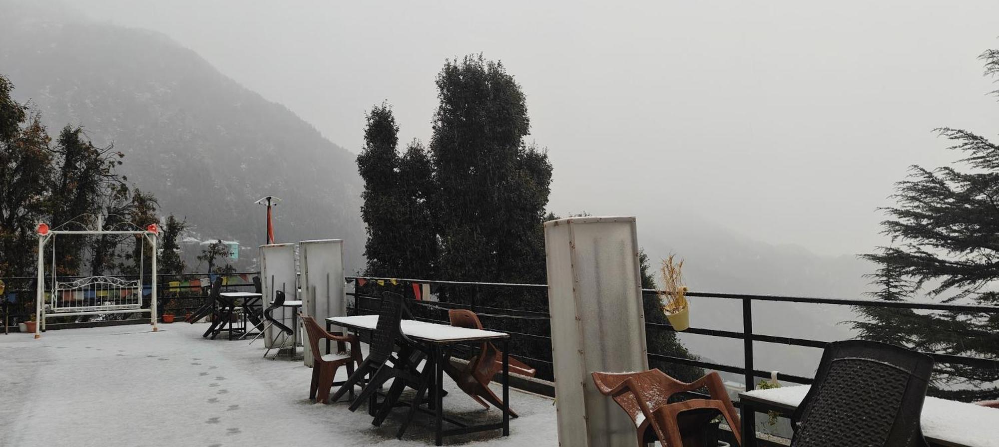 The Unmad - Dharamkot Bed & Breakfast Dharamshala Bagian luar foto
