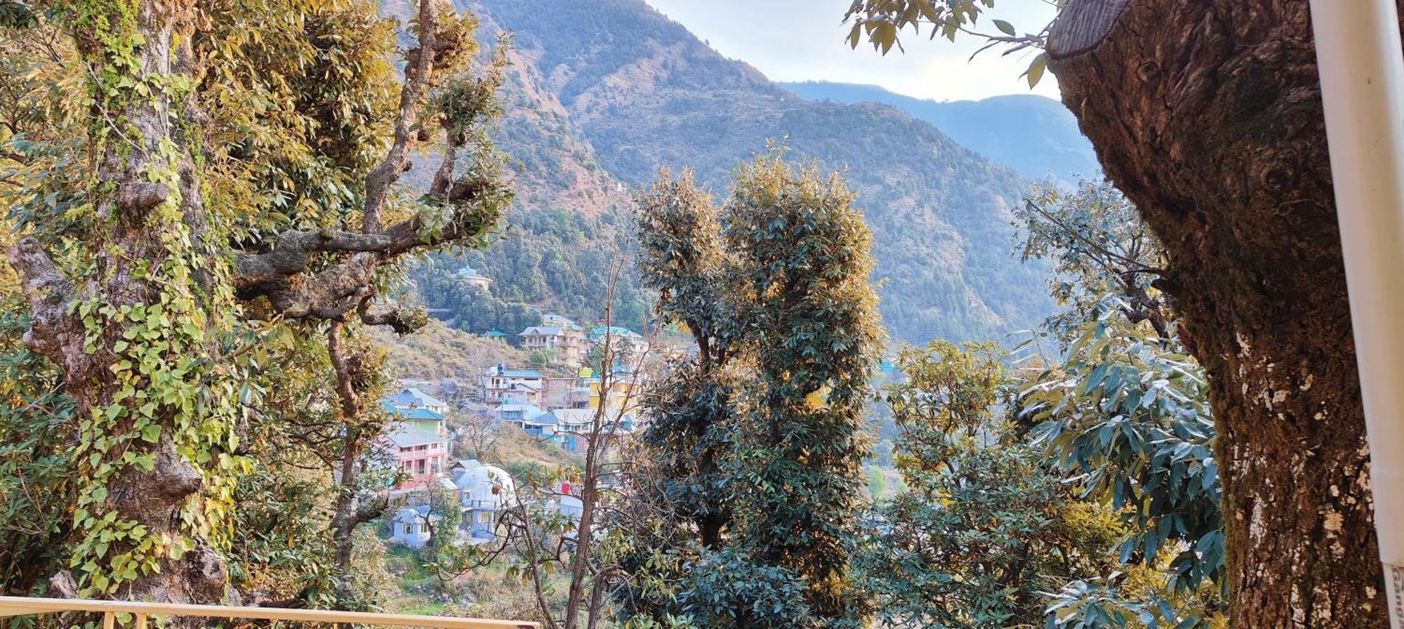 The Unmad - Dharamkot Bed & Breakfast Dharamshala Bagian luar foto
