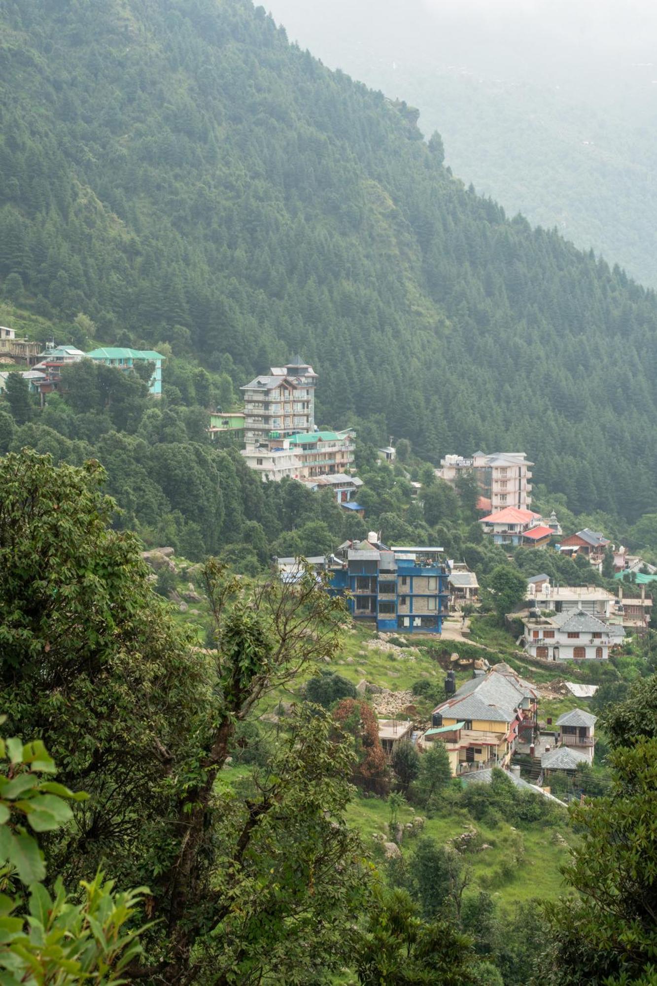 The Unmad - Dharamkot Bed & Breakfast Dharamshala Bagian luar foto