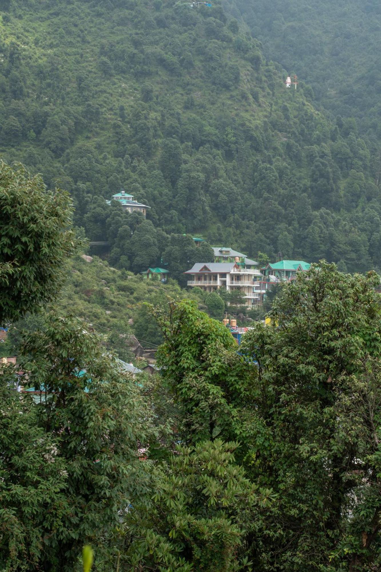 The Unmad - Dharamkot Bed & Breakfast Dharamshala Bagian luar foto